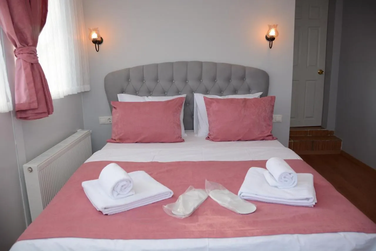 Turgut Hotel Istanbul 2*,  Turkey
